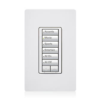 lutron homeworks keypad options