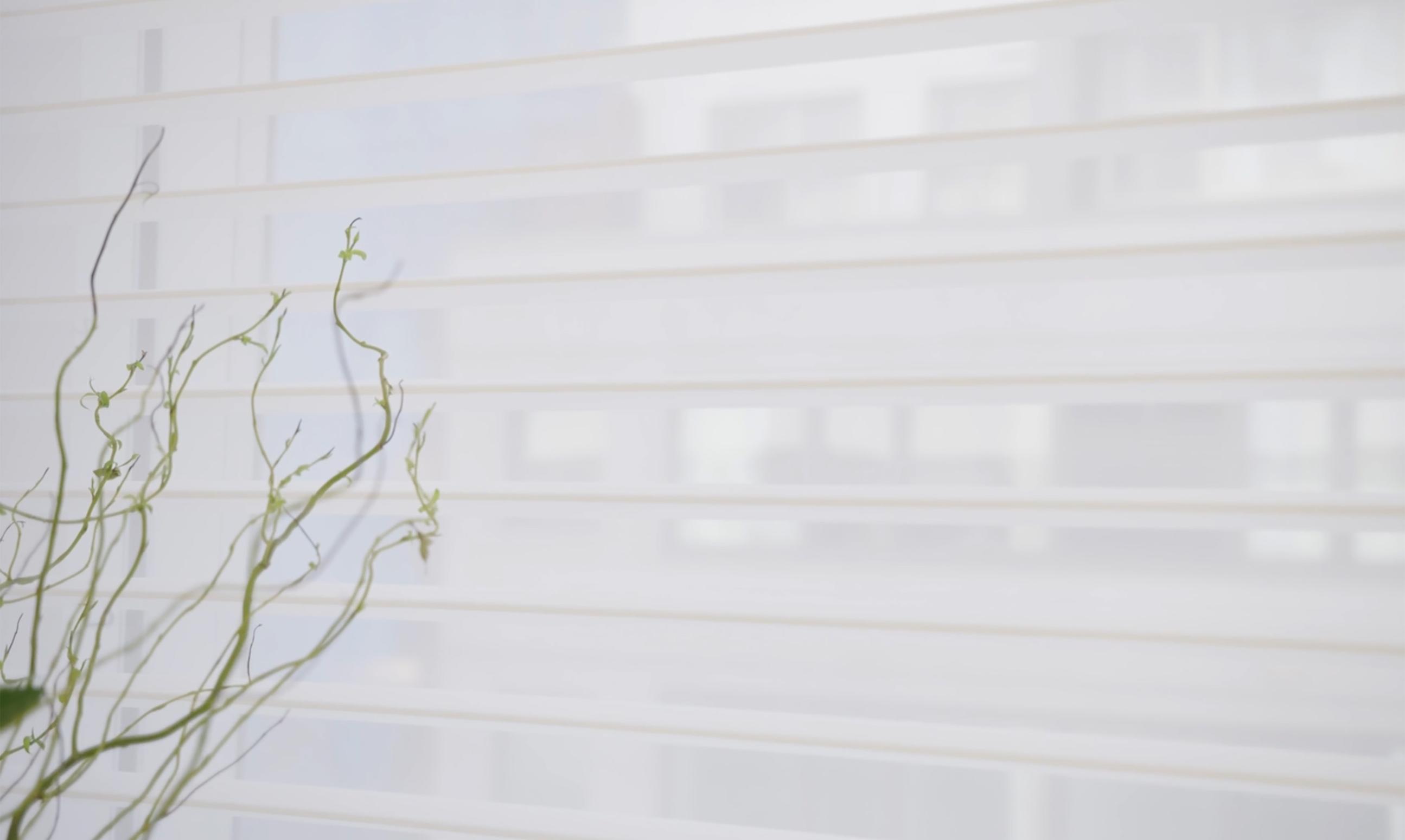 sivoia-product-still-2